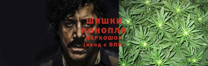 Марихуана OG Kush  наркошоп  ссылка на мегу маркетплейс  Верхняя Пышма 